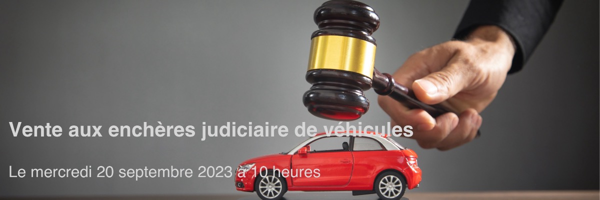 Vente aux enchères 